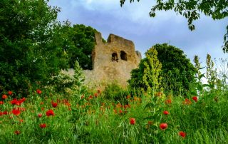 Hecklingen Burgruine Lichteneck